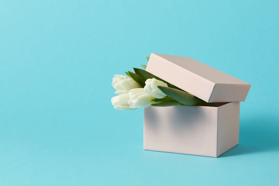 Chic white tulips in a gift box with blue backdrop. Perfect for celebrations and floral designs.