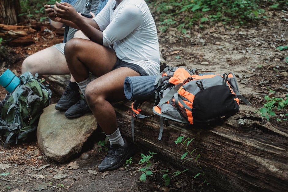 Unrecognizable adventurers lounging on old dark brown weathered log and surfing internet in forest in daytime