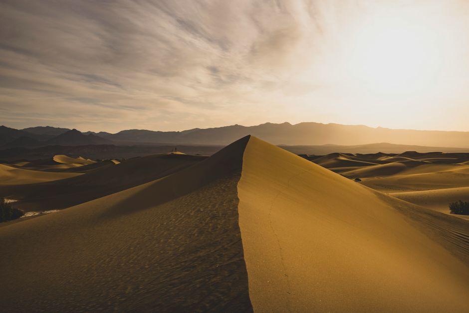 Serene desert landscape featuring golden dunes under a dramatic evening sky.