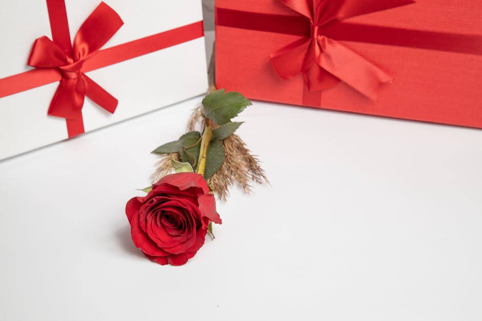 Red rose laying on a white surface with red and white gift boxes tied with ribbons.